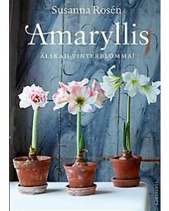 Amaryllis : älskad vinterblomma!