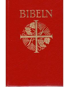 bibel Verbum 1917 NT81