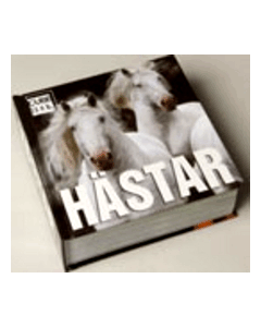 Hästar  Cube Book