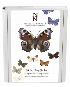 Fjärilar : dagfjärilar. Hesperiidae : nymphalidae
