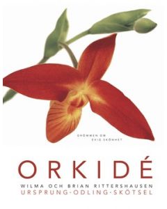 Orkidé. Drömmen om evig skönhet