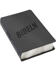 Bibeln för alla : grå